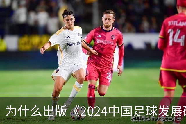 为什么出版《2024中国足球发展研讨会白皮书》？